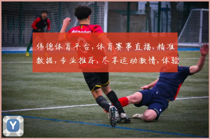 伟德体育平台,体育赛事直播,精准数据,专业推荐,尽享运动激情,体验非凡