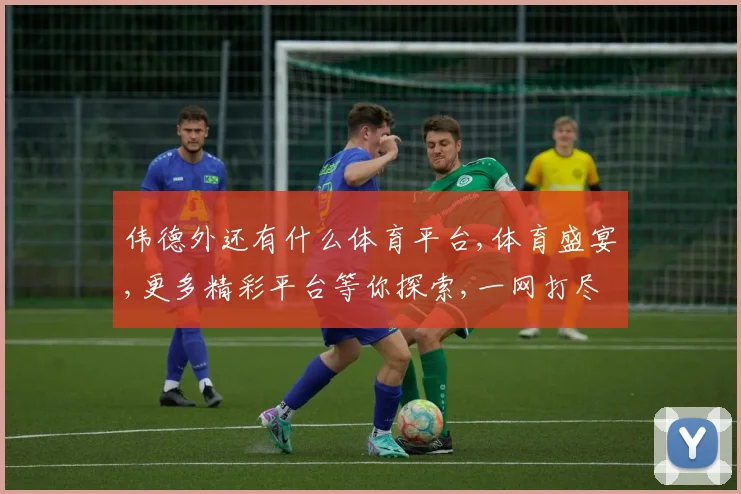 伟德外还有什么体育平台,体育盛宴,更多精彩平台等你探索,一网打尽