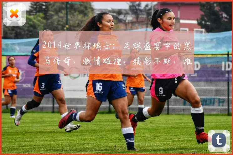 2014世界杯瑞士：足球盛宴中的黑马传奇，激情碰撞，精彩不断，谁将问鼎冠军