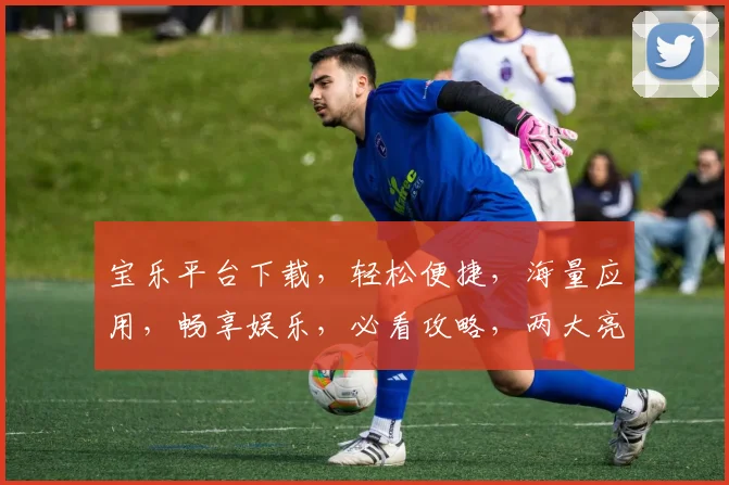 宝乐平台下载，轻松便捷，海量应用，畅享娱乐，必看攻略，两大亮点，不容错过