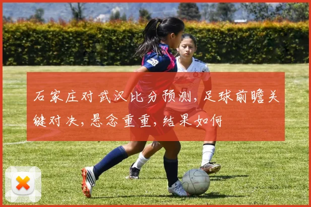 石家庄对武汉比分预测,足球前瞻关键对决,悬念重重,结果如何