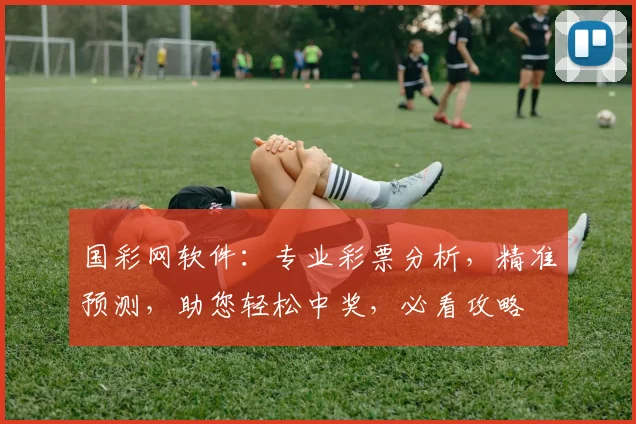 国彩网软件：专业彩票分析，精准预测，助您轻松中奖，必看攻略